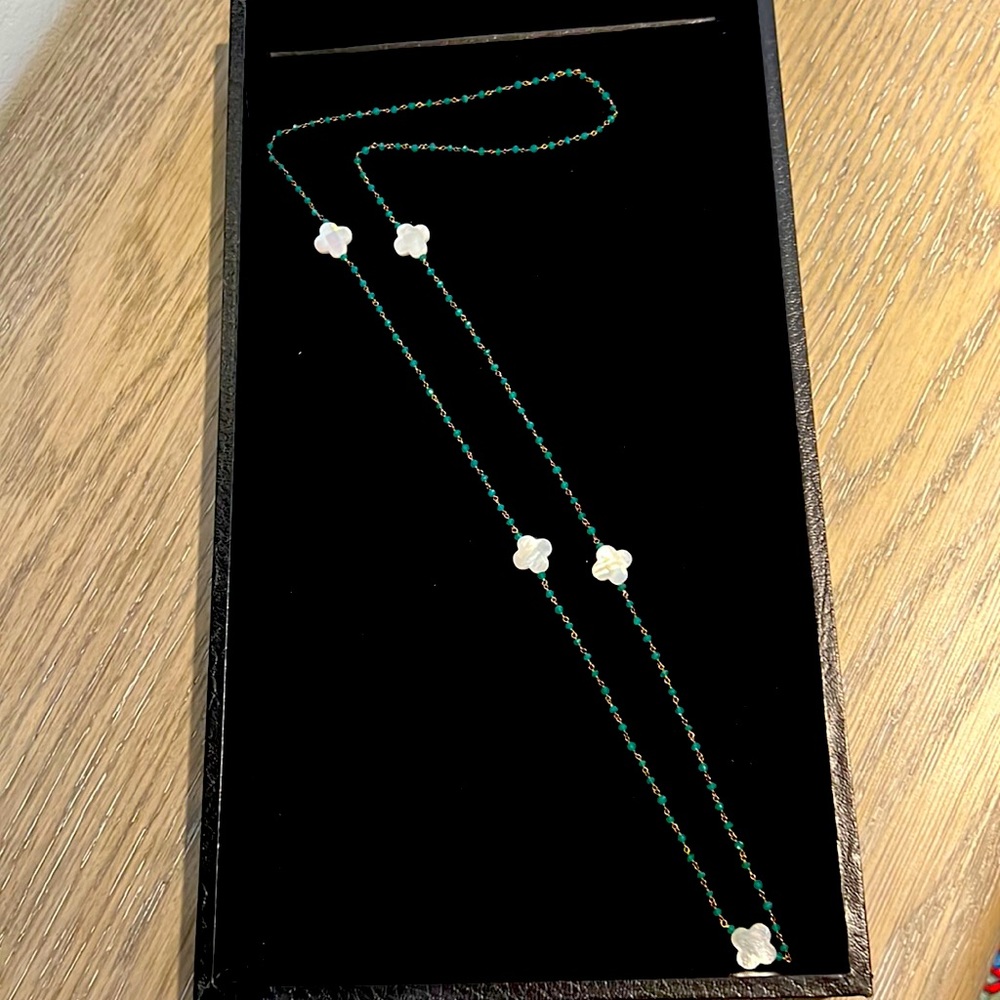 Gorgeous mother of Pearl long necklace NWT